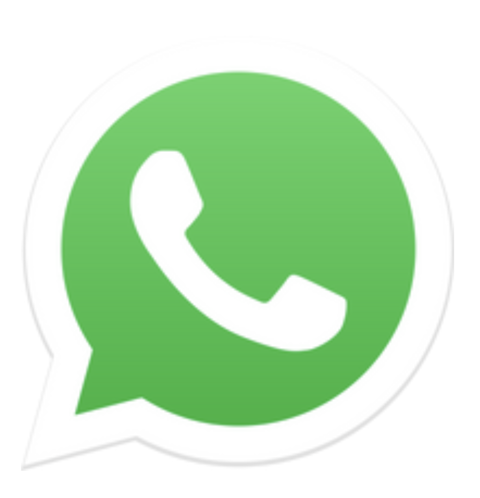 icona whatsapp per camerieri pazzi